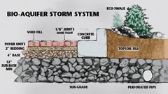 Bio-Aquifer Storm System
