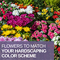Flowers That Match Your Hardscaping Color Scheme