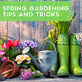 Spring Gardening Tips and Tricks