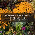 Planting the Perfect Fall Garden