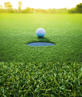 Putting Green Blend